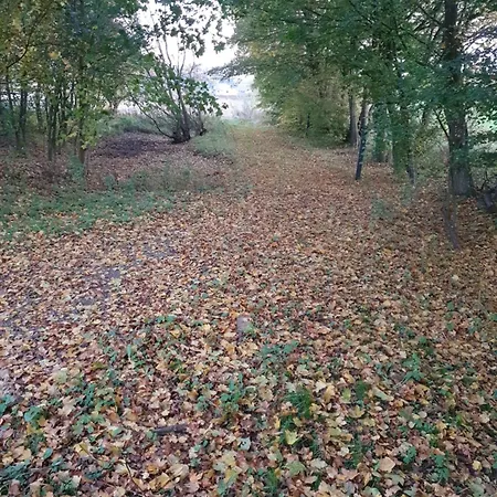 Nordborg Vaerelser Hejnsvi Hejnsvig Exterior foto