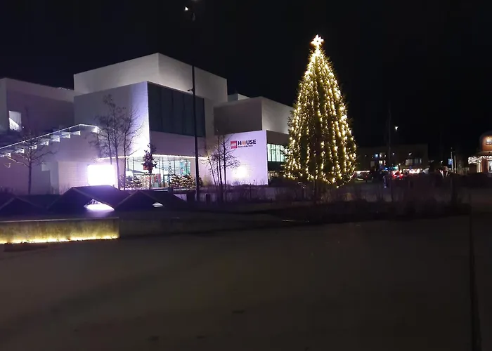 Nordborg Vaerelser Hejnsvi