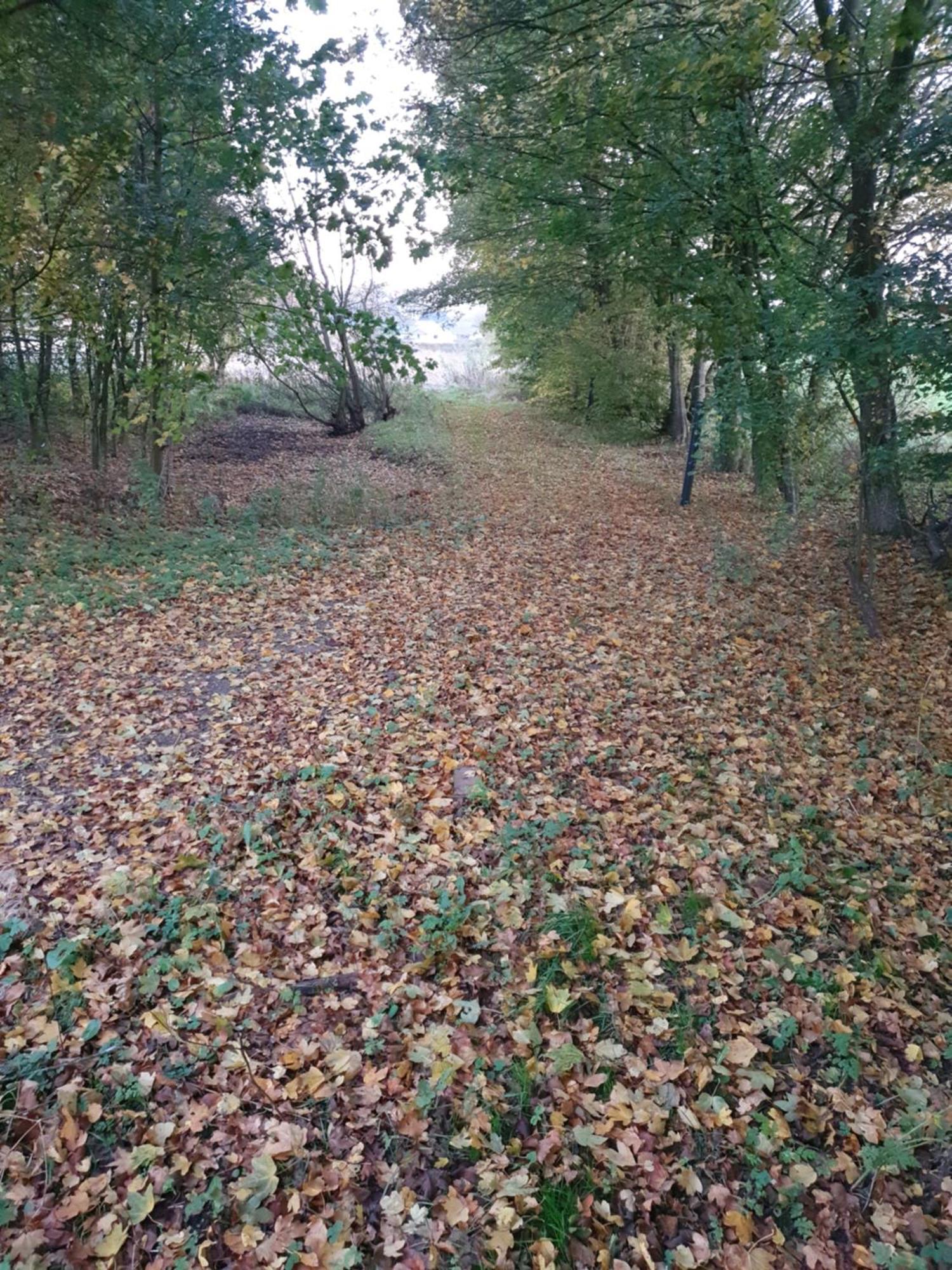 Nordborg Vaerelser Hejnsvi